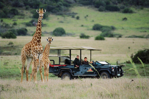 Amakhala Safari Lodge باترسون المظهر الخارجي الصورة