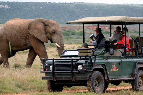 Amakhala Safari Lodge باترسون المظهر الخارجي الصورة