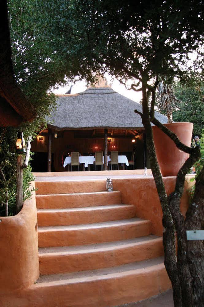 Amakhala Safari Lodge باترسون المظهر الخارجي الصورة
