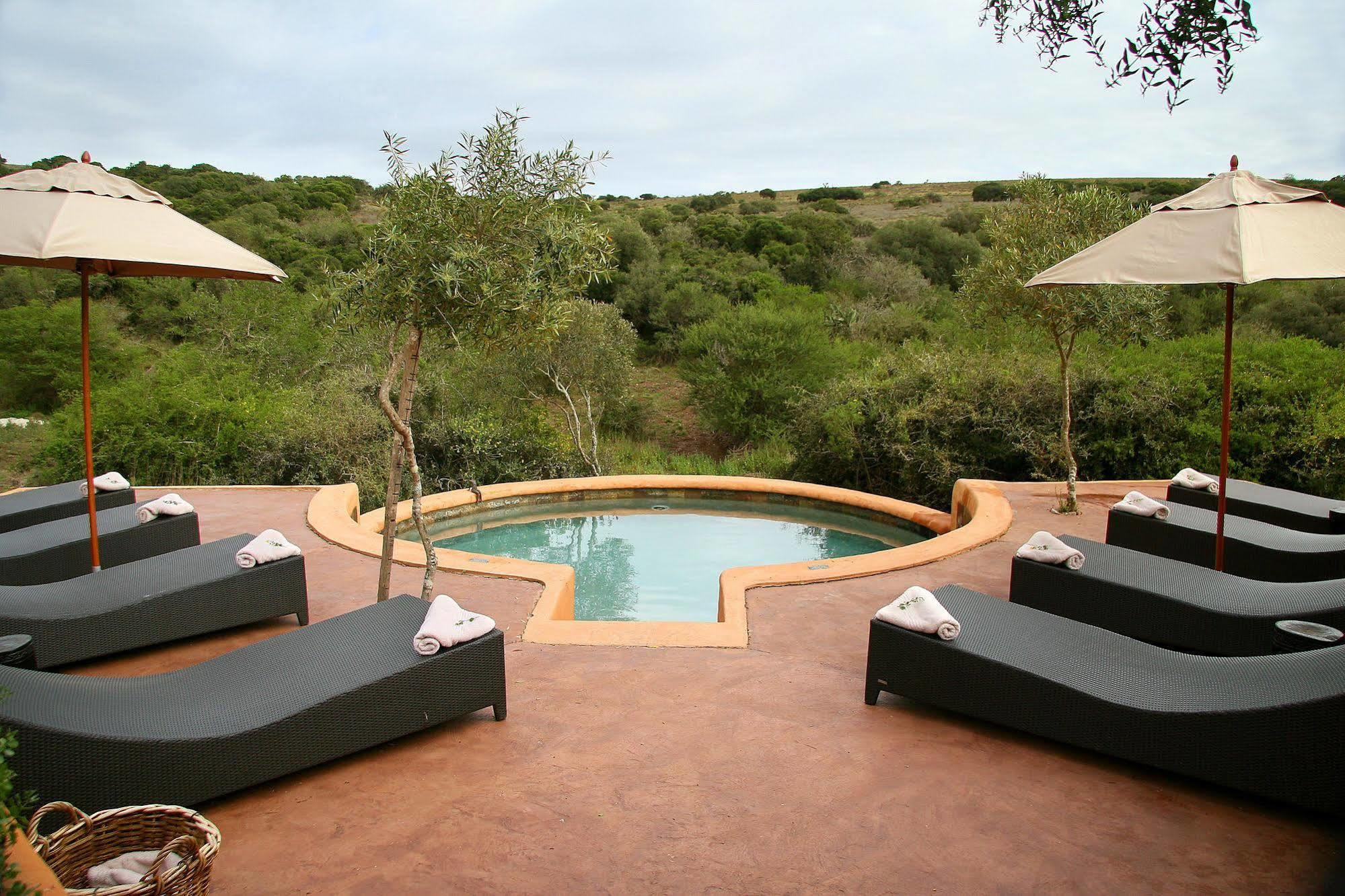 Amakhala Safari Lodge باترسون المظهر الخارجي الصورة